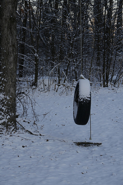 Snowy Morning